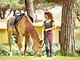 Horse Country Resort Congress & Spa