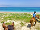 Horse Country Resort Congress & Spa
