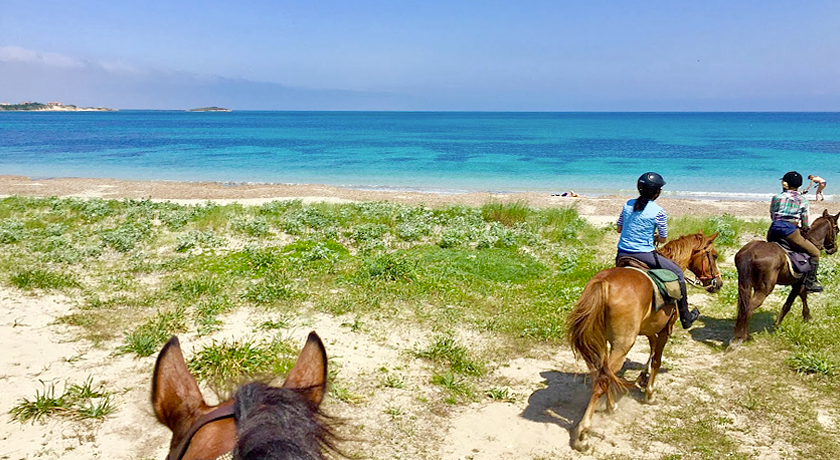 Horse Country Resort Congress & Spa