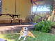 Tenuta San Pierino - Glamping