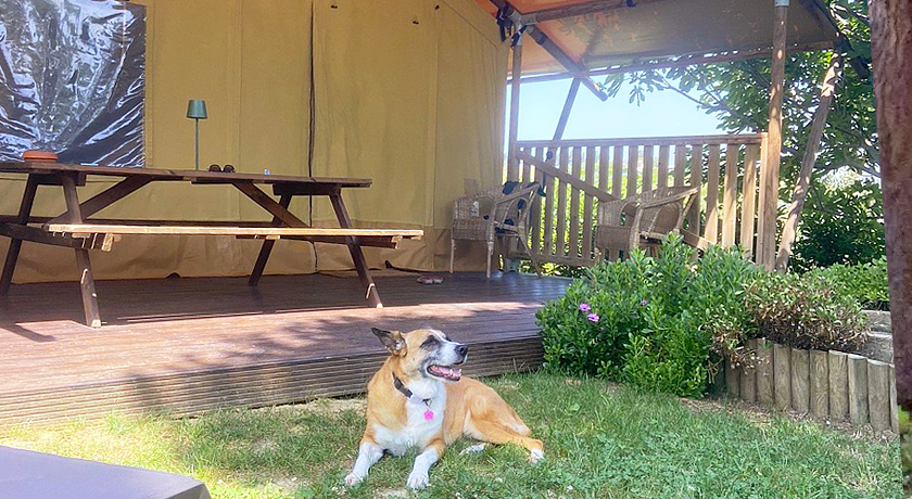 Tenuta San Pierino - Glamping