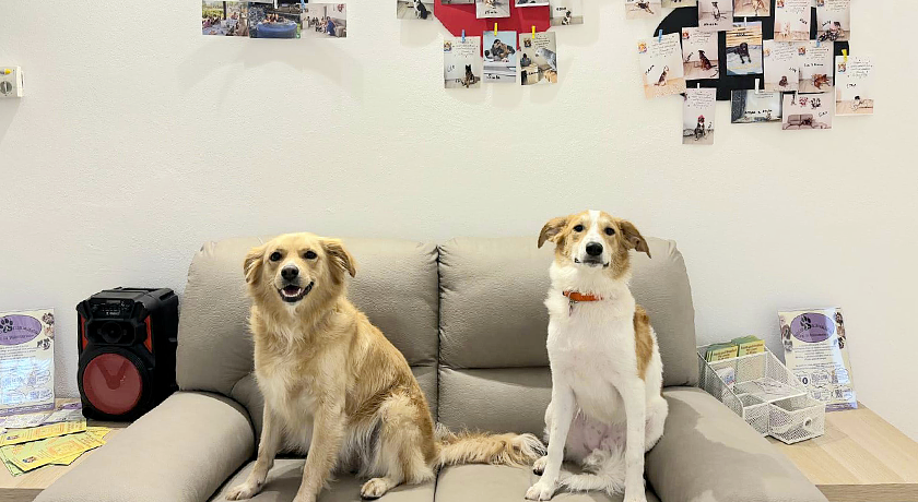 La Chicca di Milu' for Pet Lovers