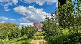  L’Uliveto Magico Agriboutique 