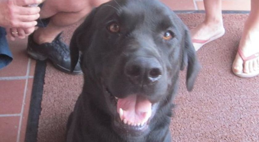 Bed and Breakfast Libano