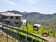 Agriturismo degli Olivi