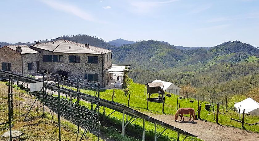 Agriturismo degli Olivi