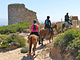 Horse Country Resort Congress & Spa
