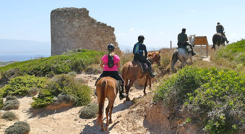 Horse Country Resort Congress & Spa