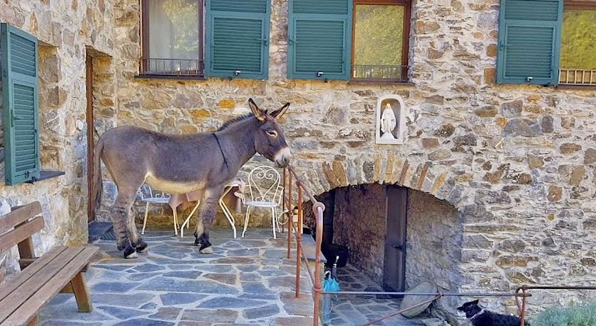 Agriturismo degli Olivi