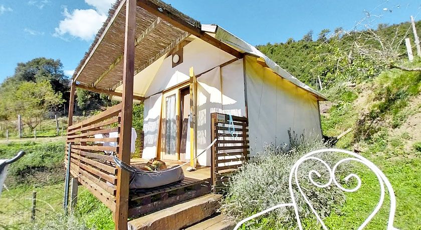 Agriturismo degli Olivi