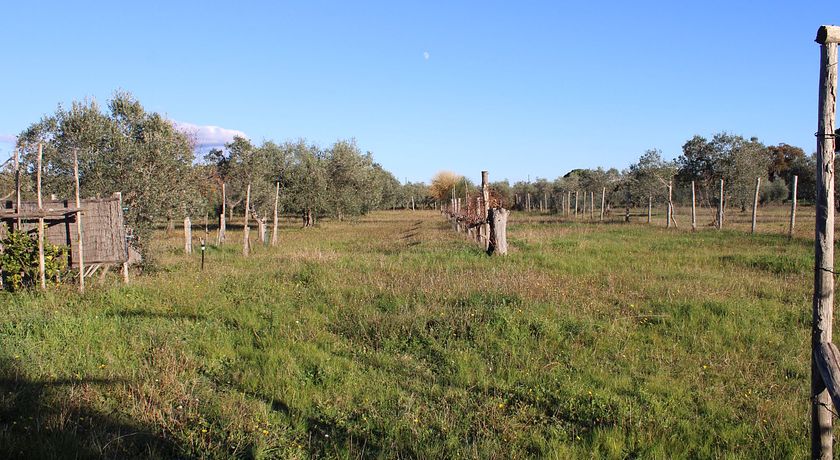 Cottage immerso nella campagna toscana