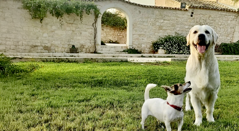 Torre Dantona Country Suites