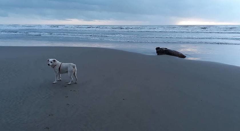 Bed and Breakfast Libano