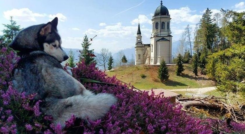 Albergo Ristorante Comparsa