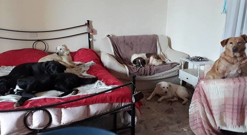 Bed and Breakfast Libano