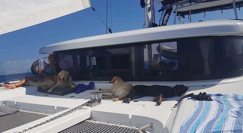 DogOnCruises Crociere in Catamarano