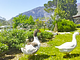 italyfarmstay