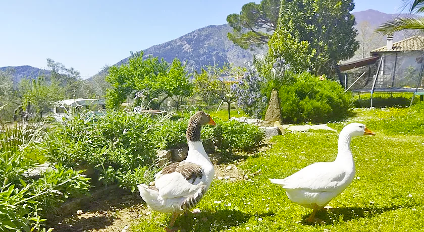 italyfarmstay