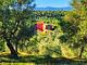 Tenuta Terra Rossa 