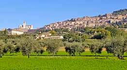 Agriturismo Giardino degli Olivi di Elisei Claudio