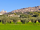Agriturismo Giardino degli Olivi di Elisei Claudio