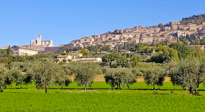 Agriturismo Giardino degli Olivi di Elisei Claudio