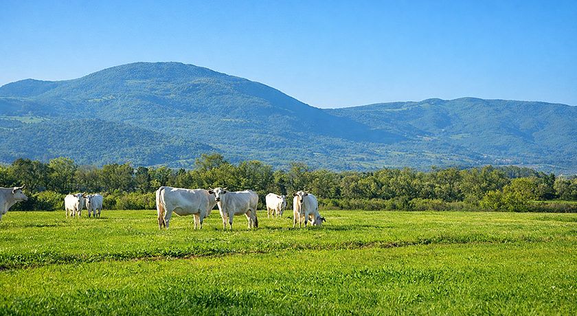 Agriturismo Santa Trice