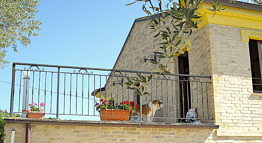 LA CICALA