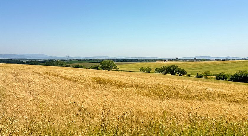 Casale dell'Assiolo 