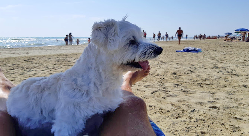 Camping Golden Beach