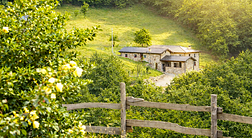 Agriturismo Le Querciole