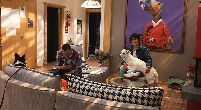 alpine touring hotel