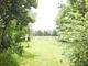 Greenfields