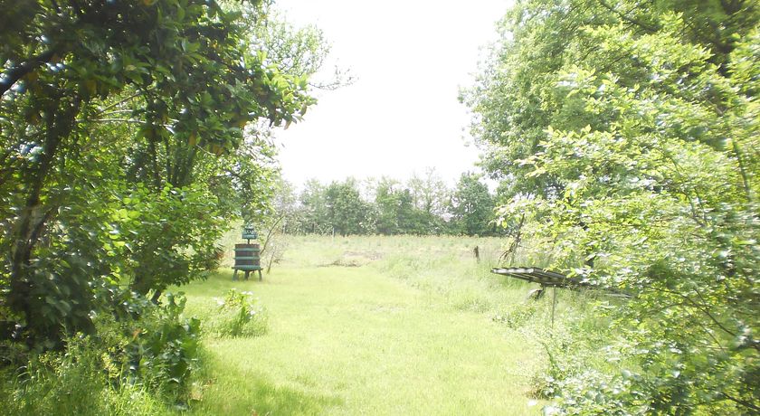 Greenfields