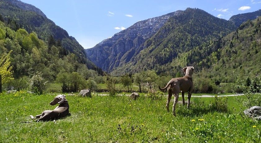 Eco-Baita Natura Spensierata