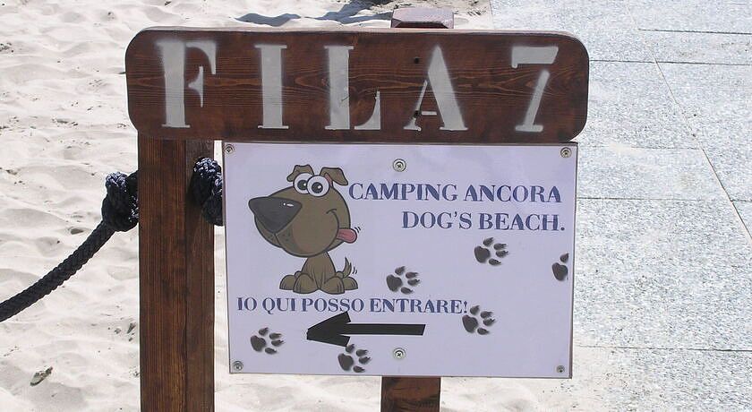 Camping Ancora