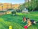 Quiet Country House - Anghiari - Toscana