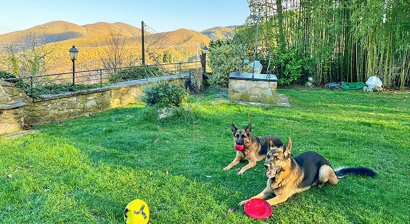 Quiet Country House - Anghiari - Toscana