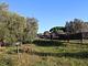 Cottage immerso nella campagna toscana