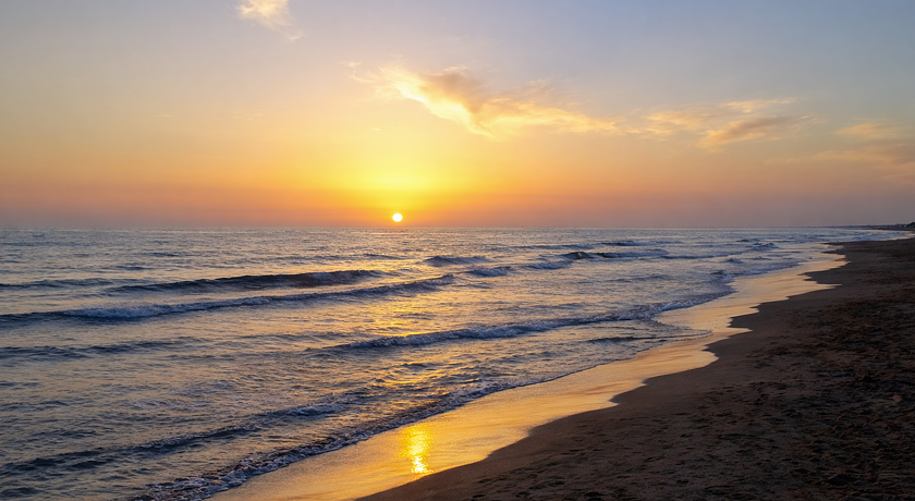 Dog Friendly Sea House