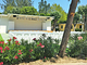 Club del Sole Stork Family Camping Village 