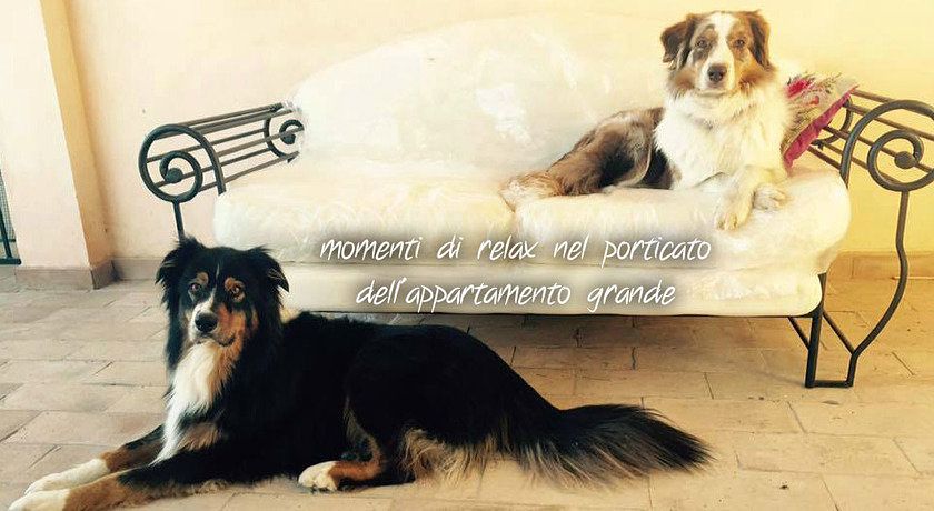 Casa Vacanze a Quattrozampe