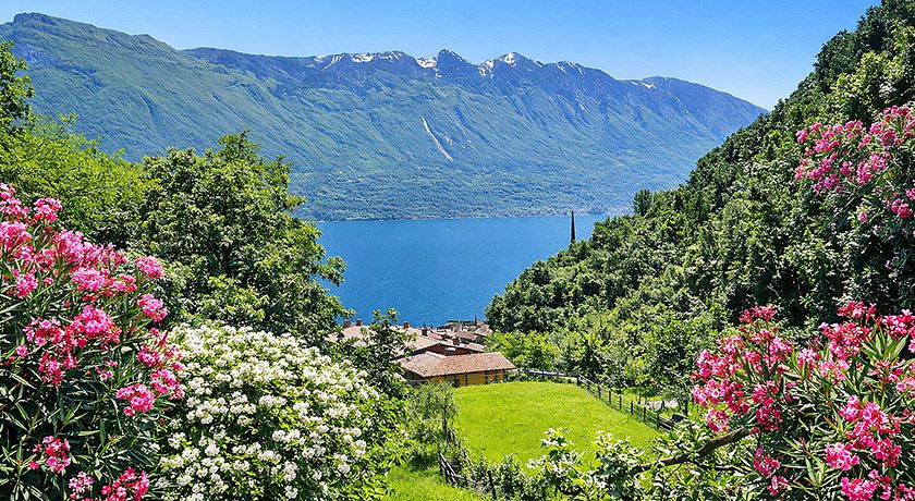 Appartamenti la Milanesa