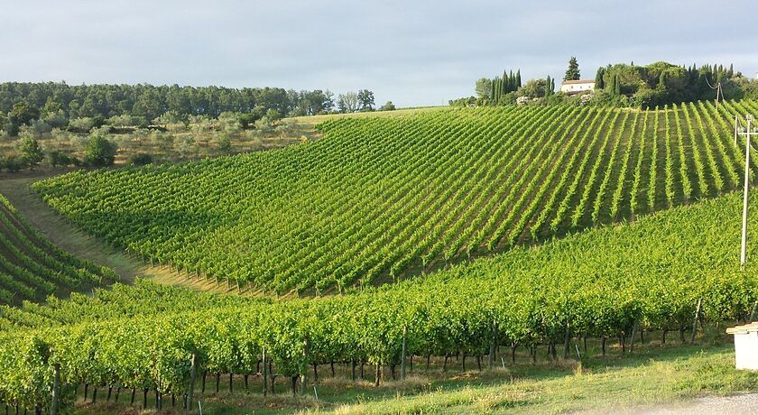 Fattoria La Loggia