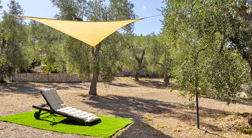 Residence Regine Club