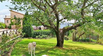 Casa Vacanze a Quattrozampe