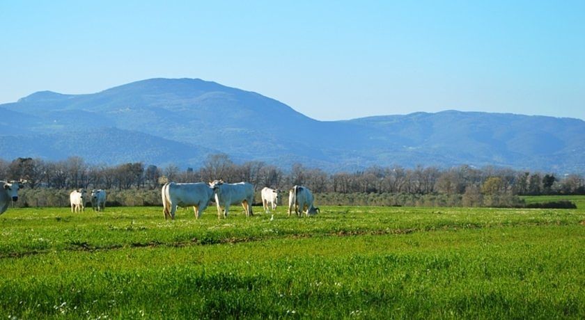 Agriturismo Santa Trice