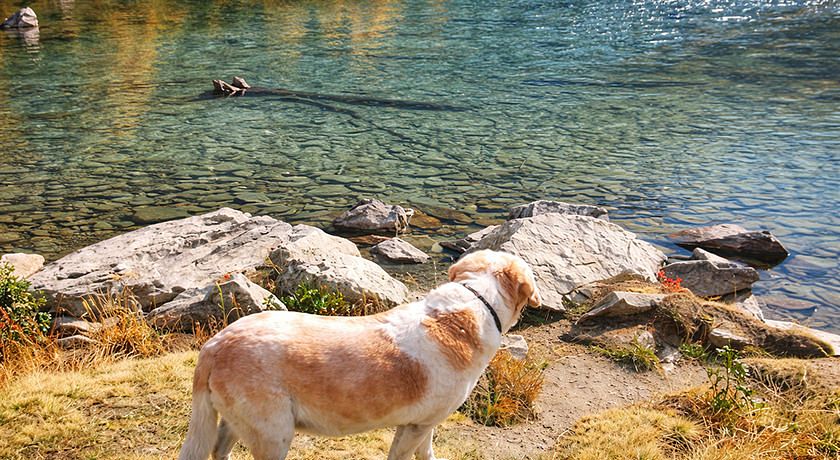 Hotel Les Montagnards