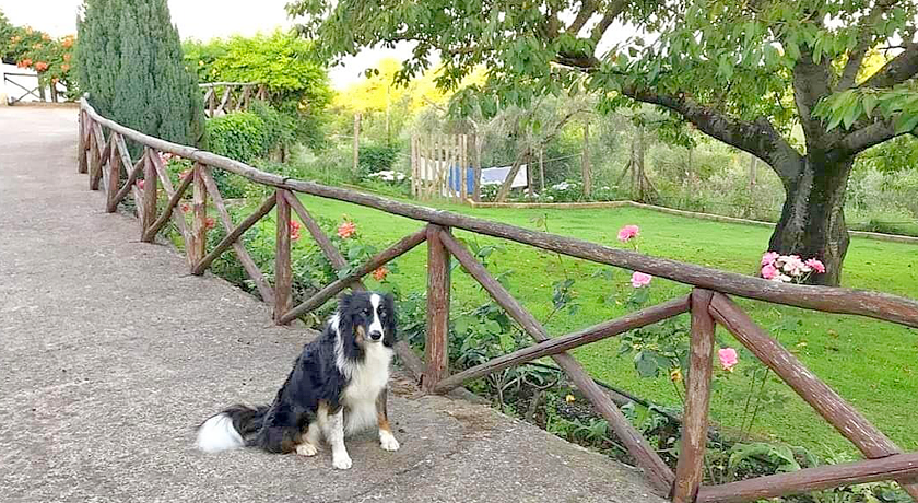 Casa Vacanze a Quattrozampe