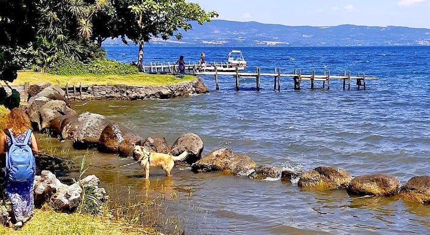 Casa Vacanze a Quattrozampe